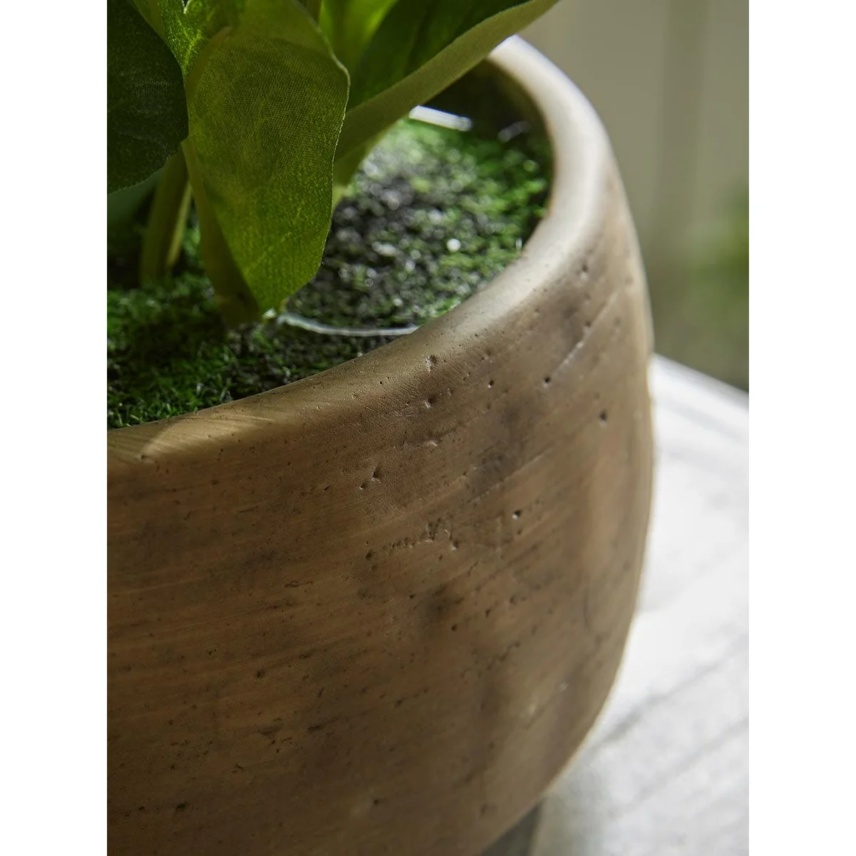 Faux potted Hellebore- Green – image 2