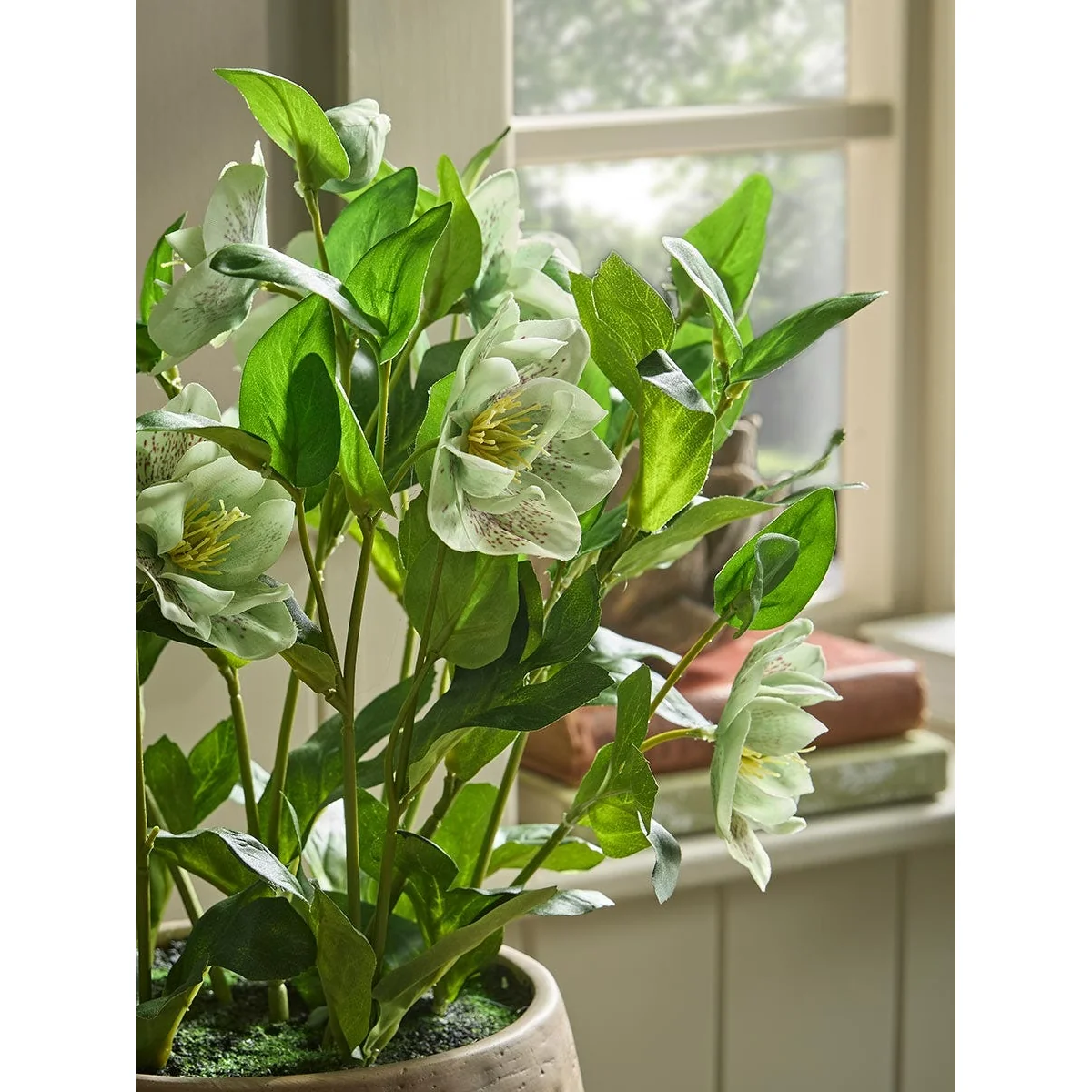 Faux potted Hellebore- Green – image 3