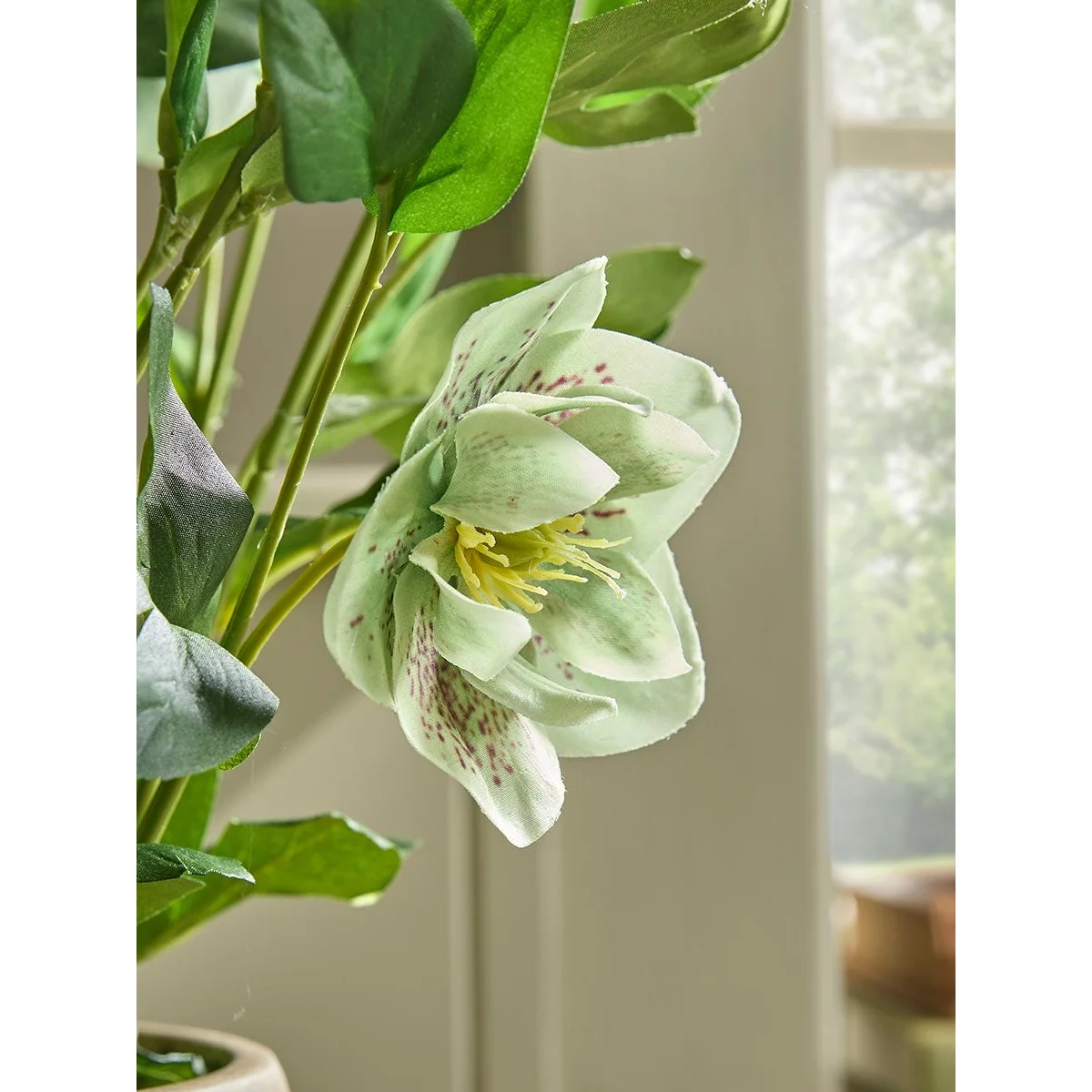Faux potted Hellebore- Green – image 4