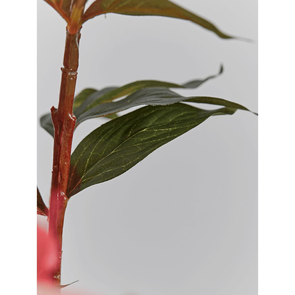 Three Faux PeonyÂ Stems - Coral – image 3