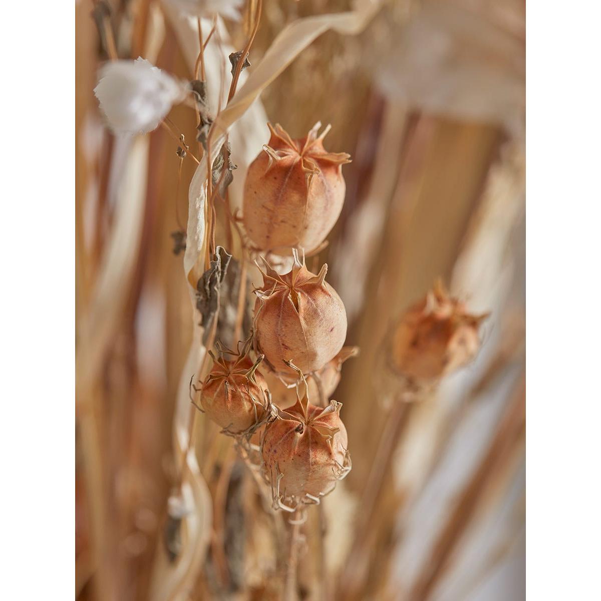 Dried Mixed Poppy Seed Bouquet – image 2