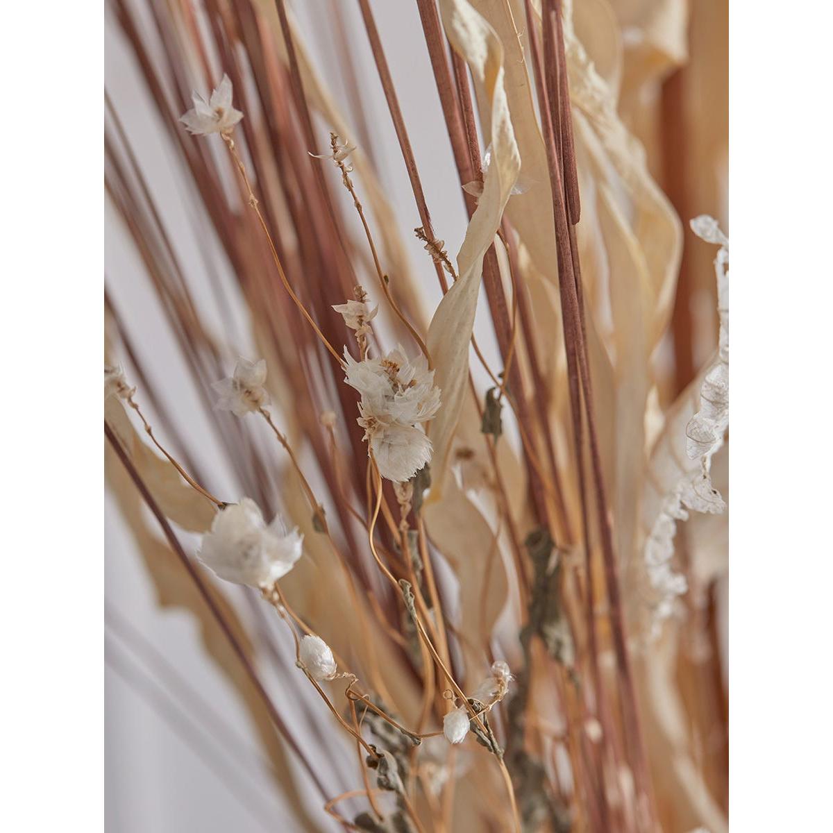 Dried Mixed Poppy Seed Bouquet – image 4