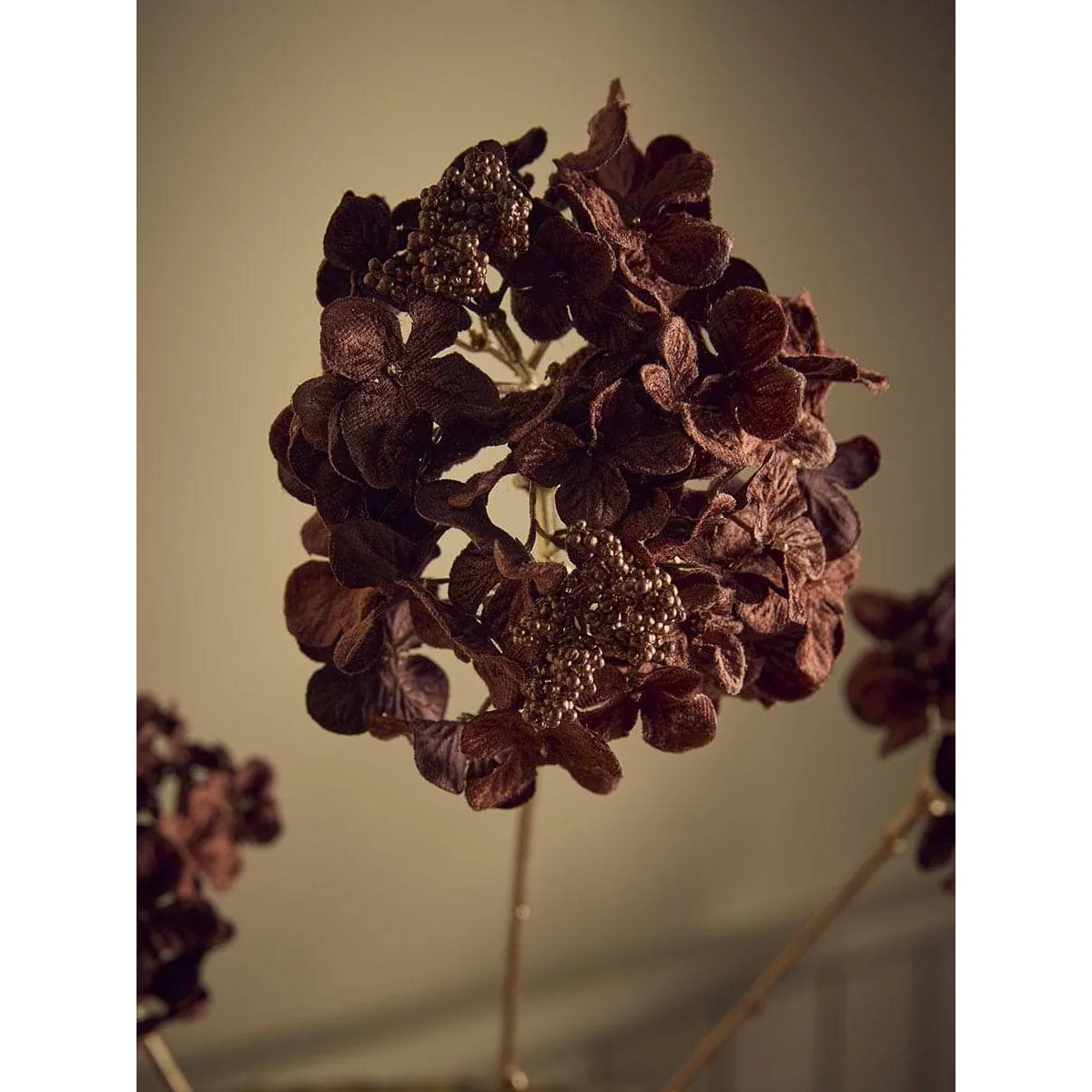 Hydrangea Stem - Brown – image 2