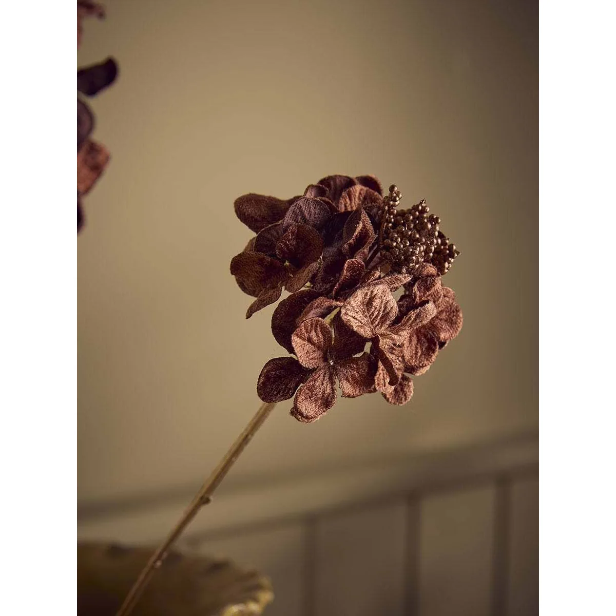 Hydrangea Stem - Brown – image 3