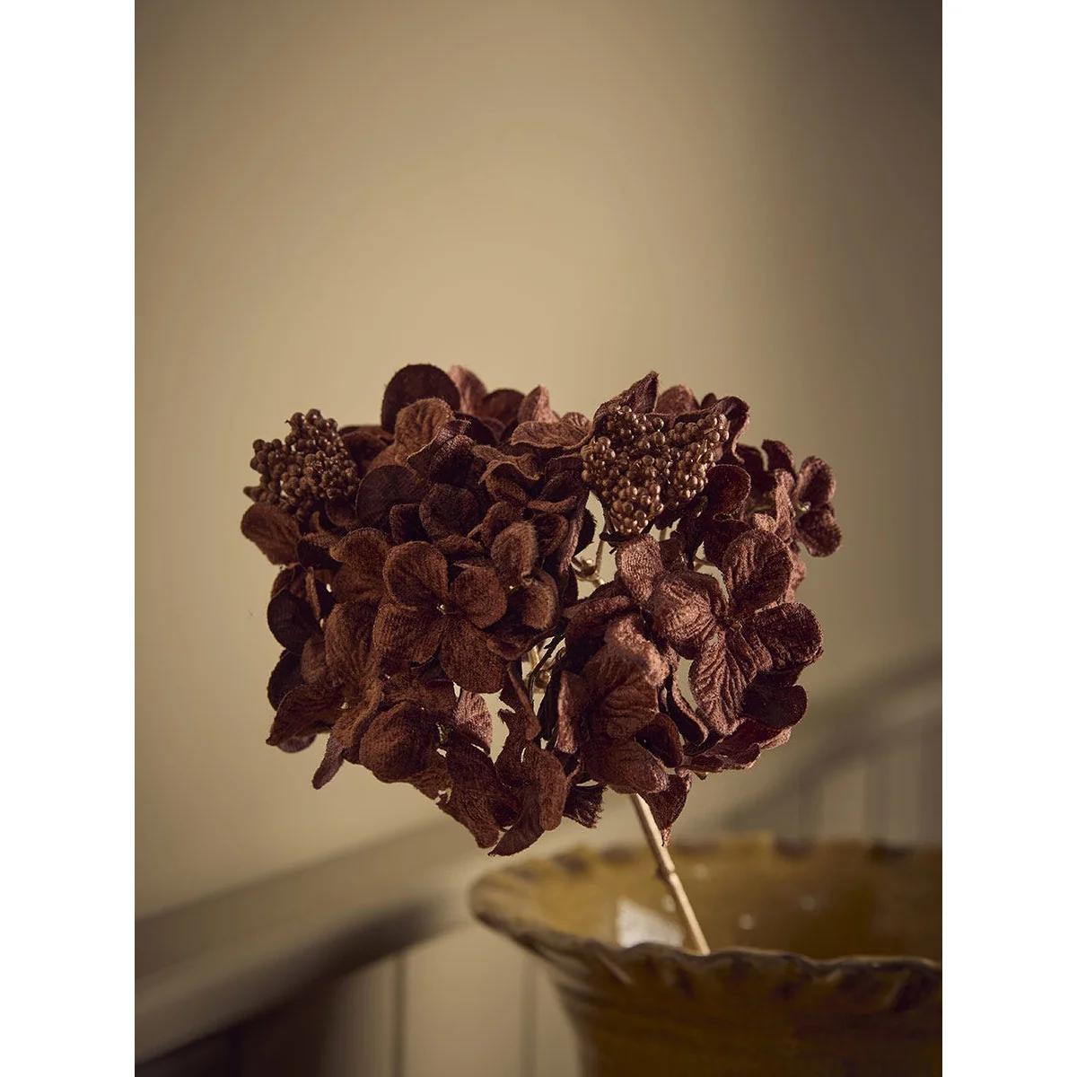 Hydrangea Stem - Brown – image 4