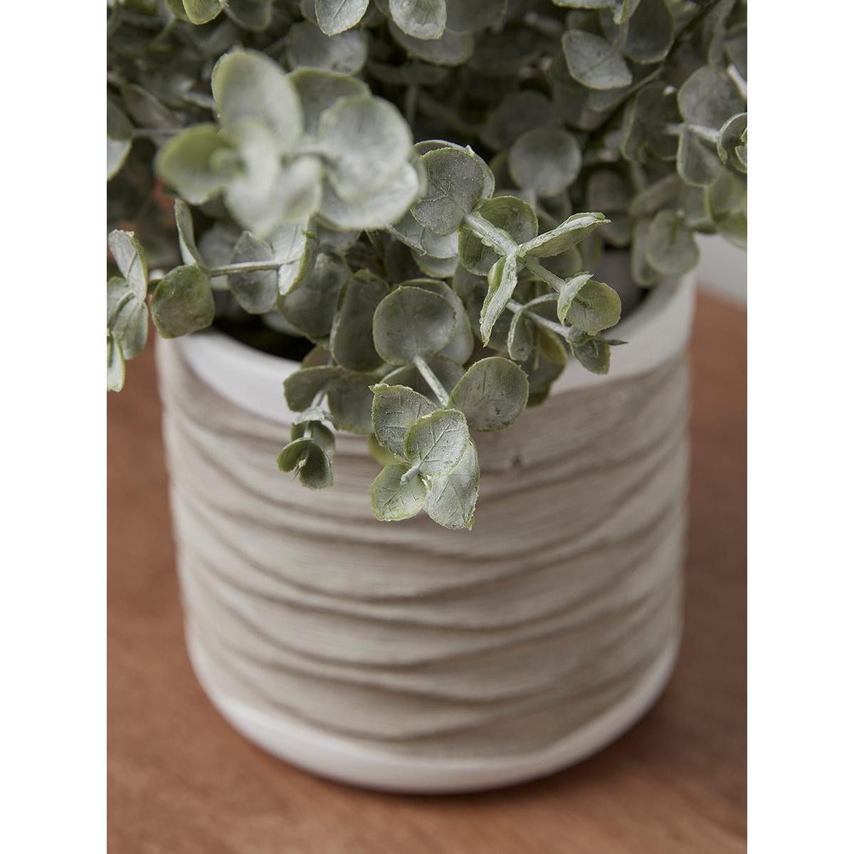 Faux Ceramic Potted Eucalyptus – image 3