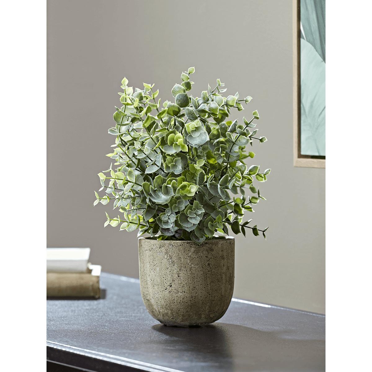 NEW Faux Potted Eucalyptus – image 1