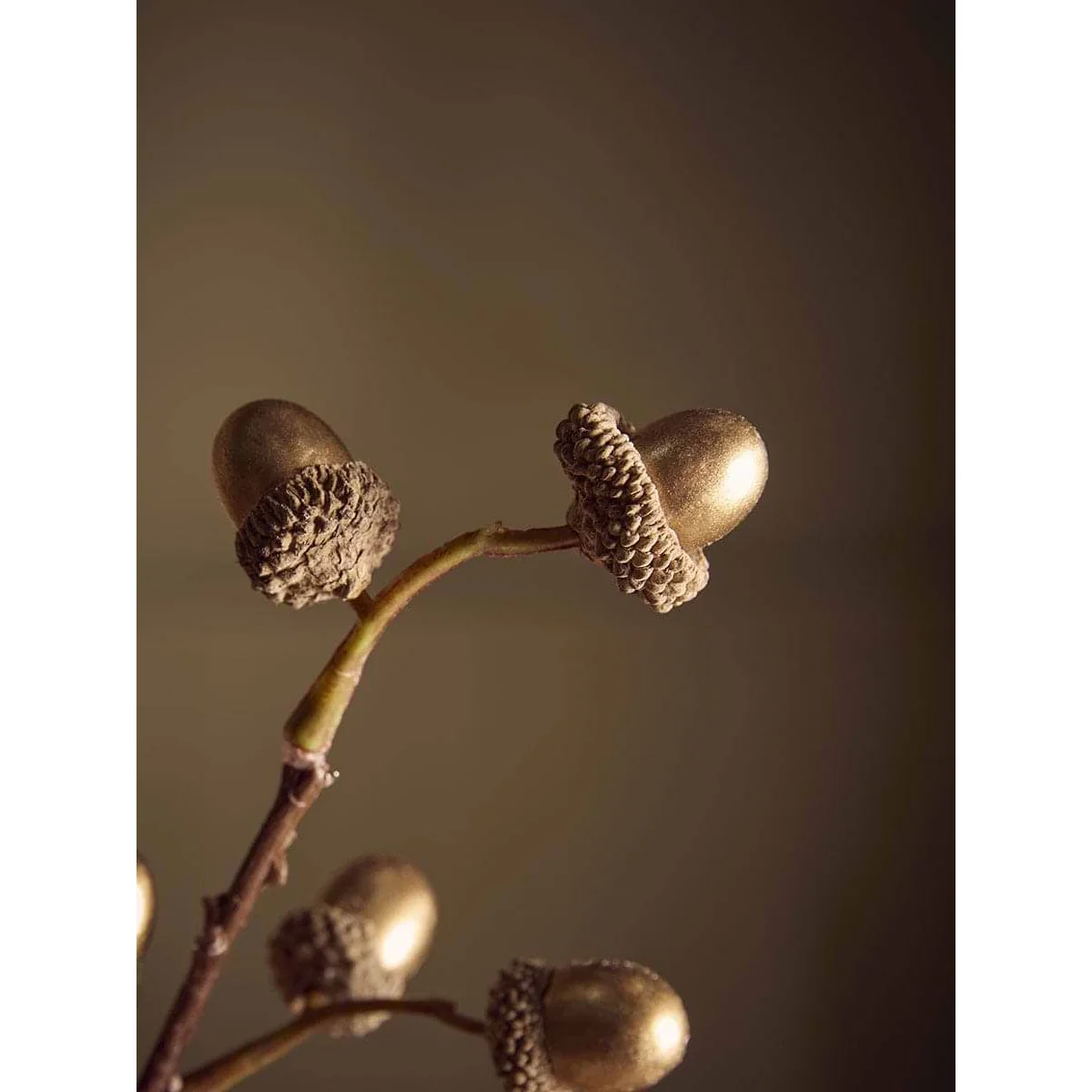Antiqued Gold Acorn Faux Stem – image 2