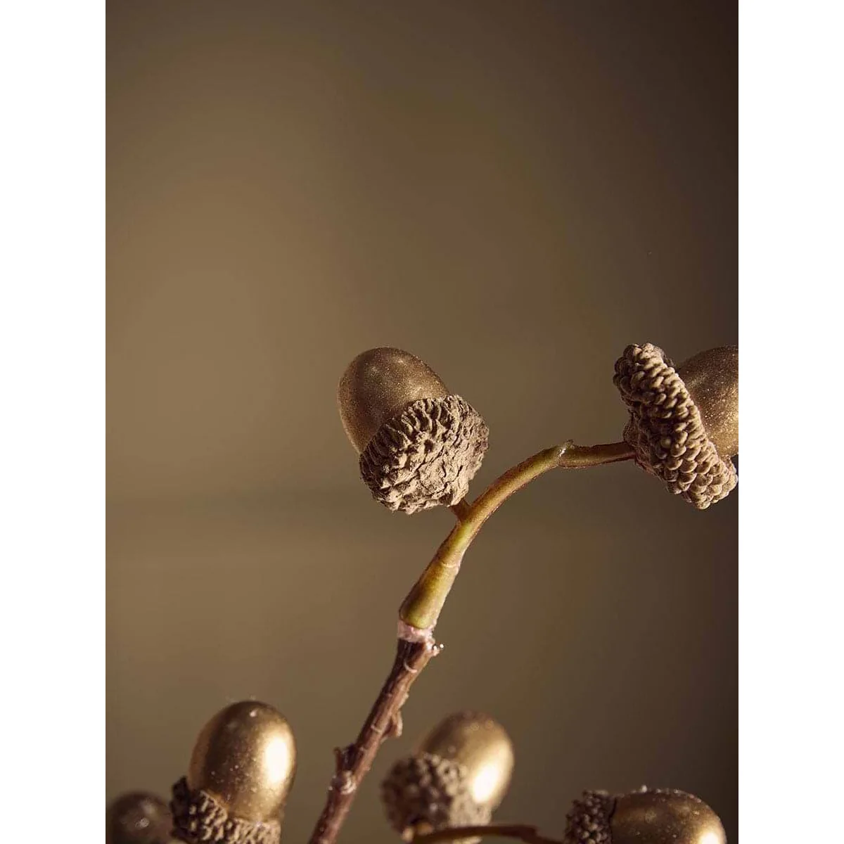 Antiqued Gold Acorn Faux Stem – image 5