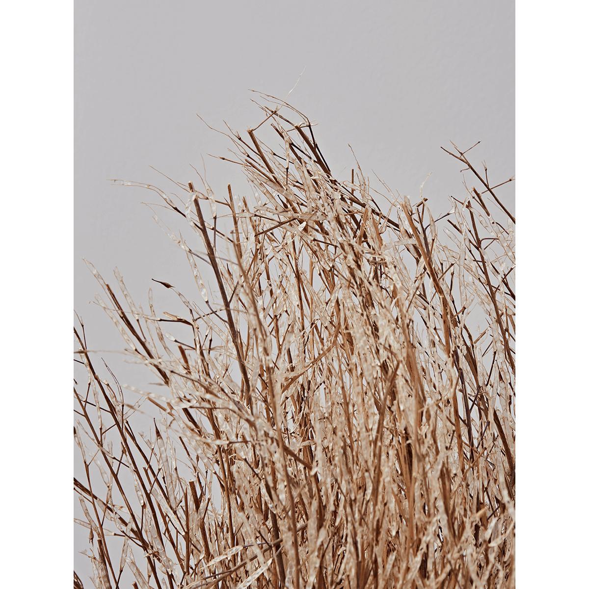 Dried Mustard Grass Bunch – image 2