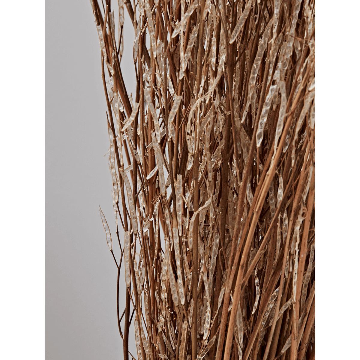 Dried Mustard Grass Bunch – image 3