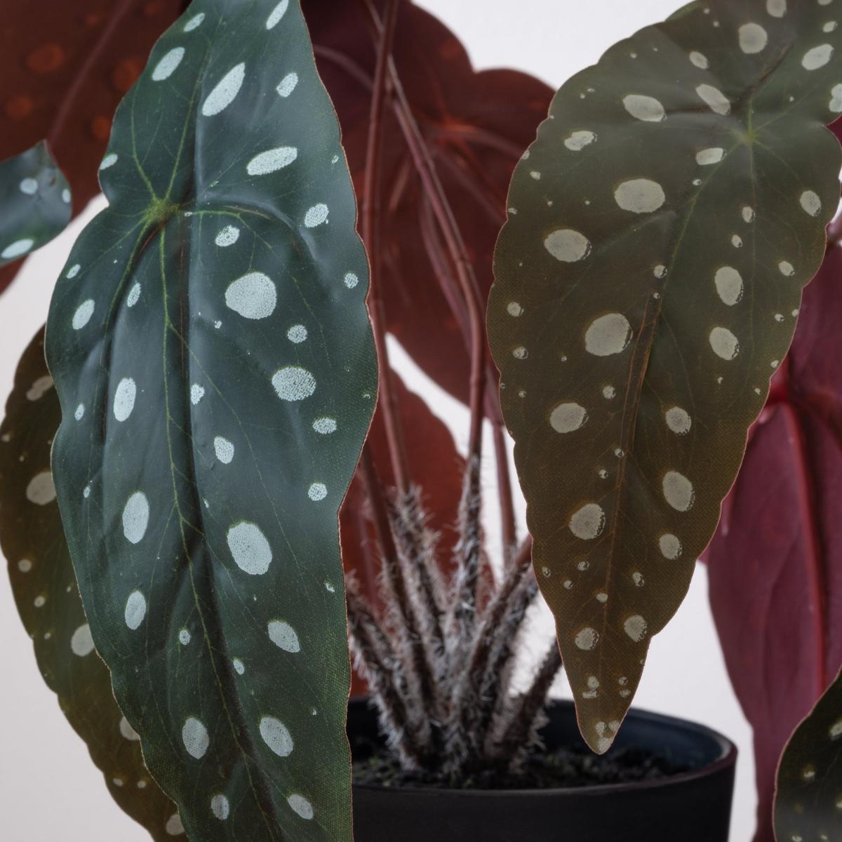 Real Touch Spotted Begonia Plant 30cm Green – image 2