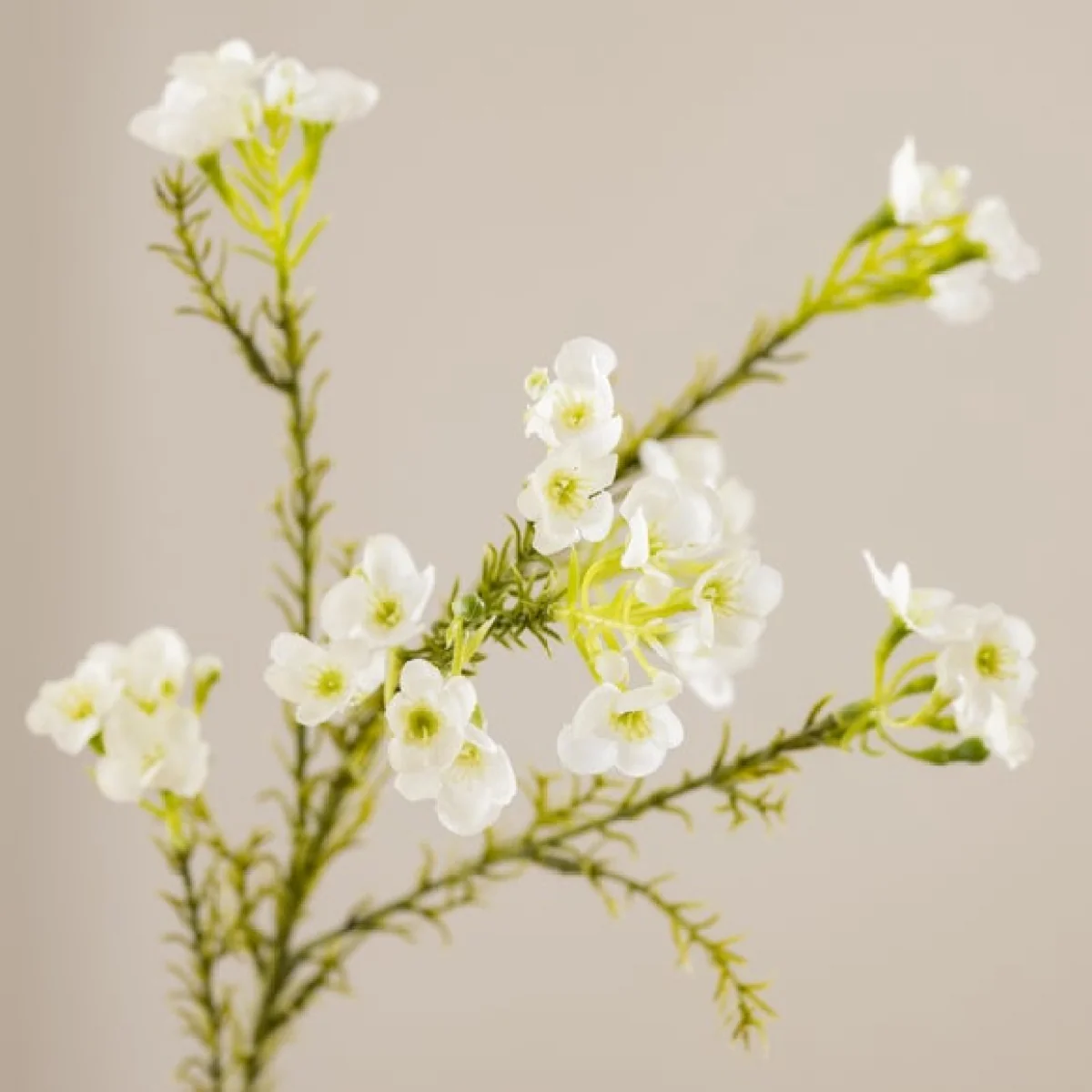 Artificial Waxflower Stem – image 2