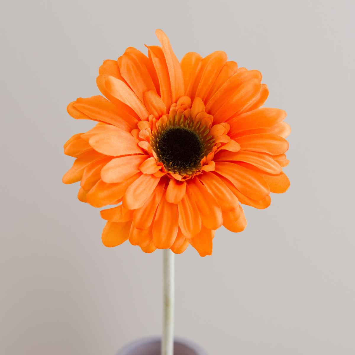 Orange Gerbera Stem – image 3