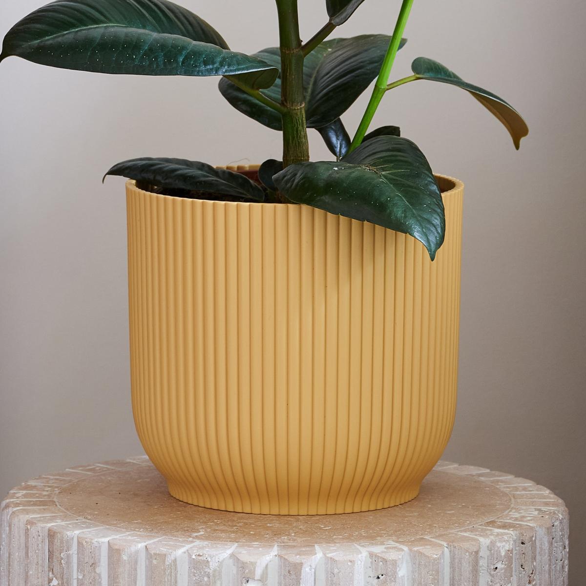 Beards & Daisies Rubber Plant House in Vibes Pot Plastic Yellow – image 3