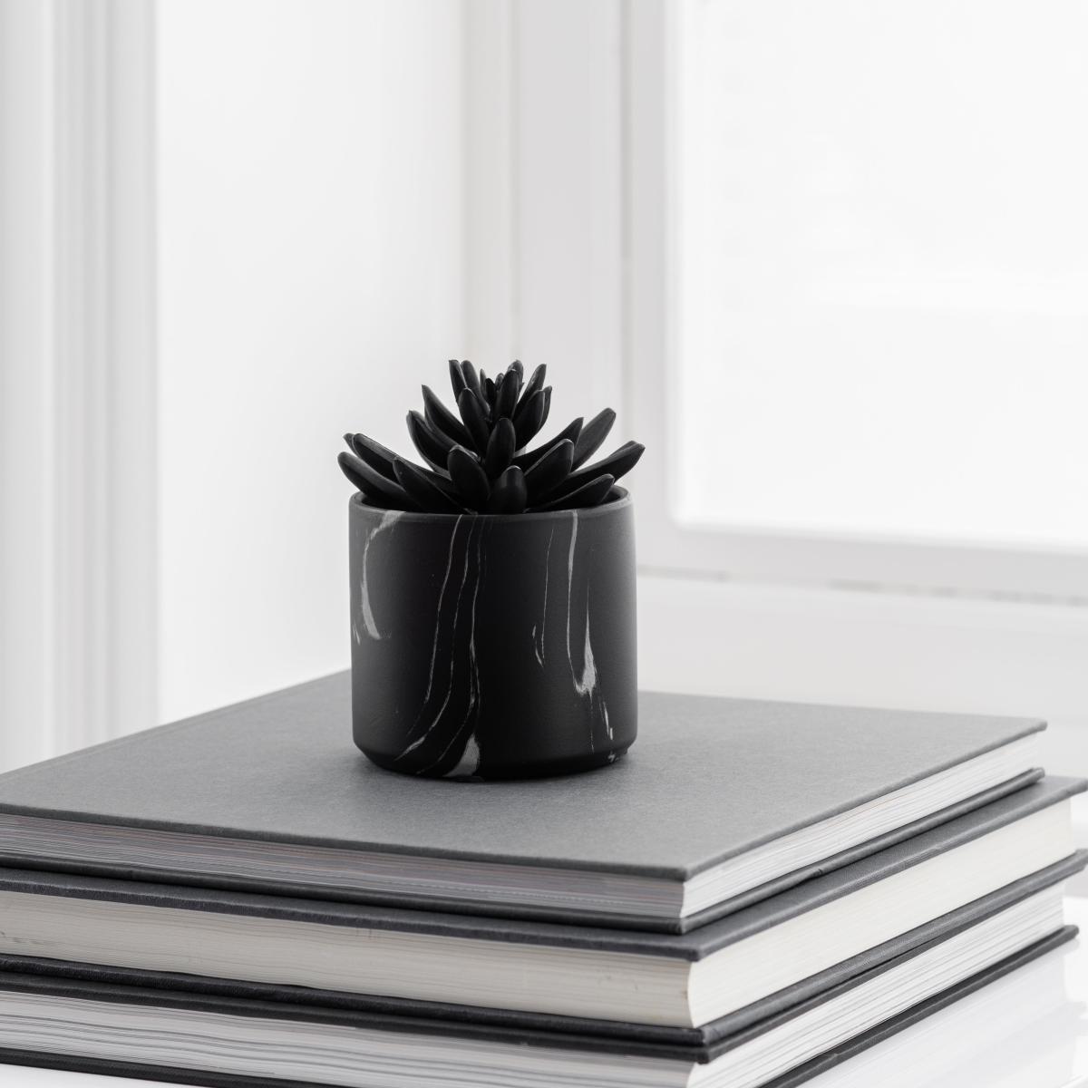 Succulent in Black Marble Pot Black – image 2