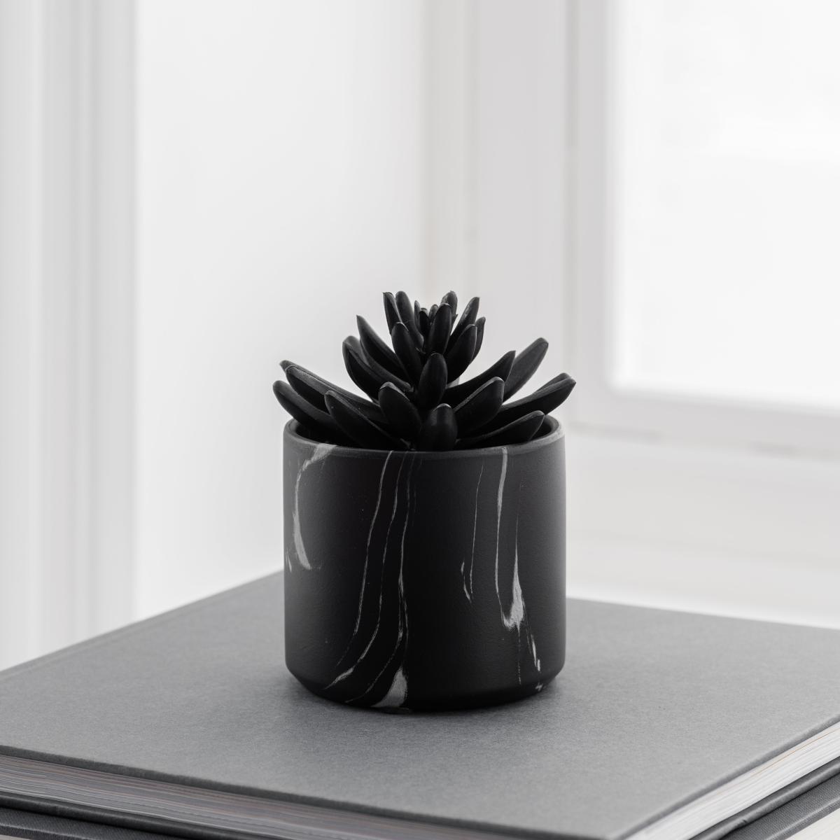 Succulent in Black Marble Pot Black – image 3
