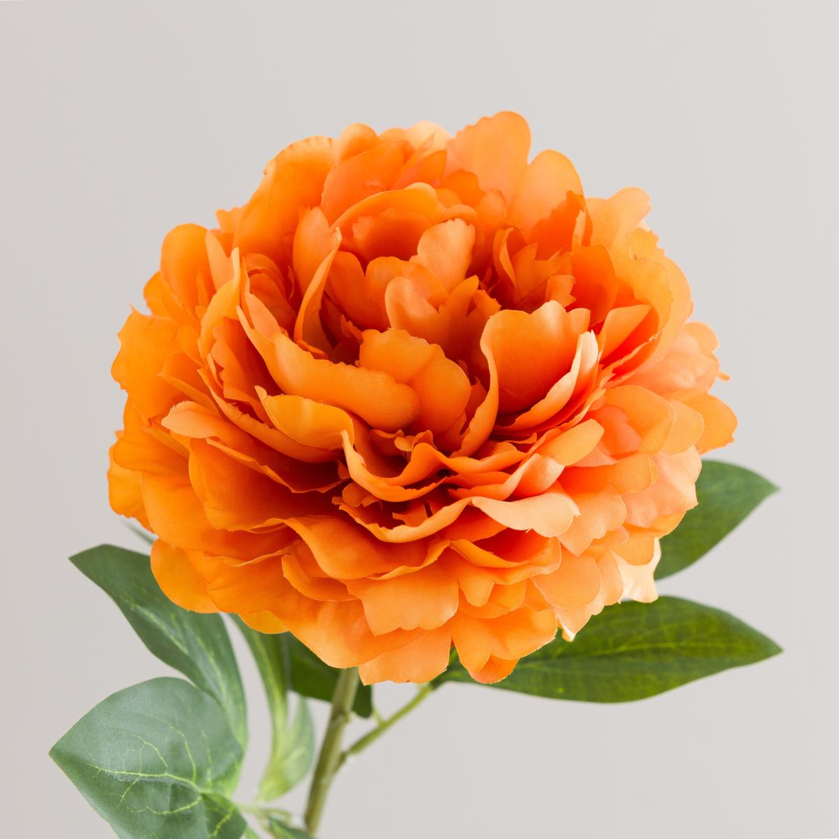Orange Peony Stem – image 3