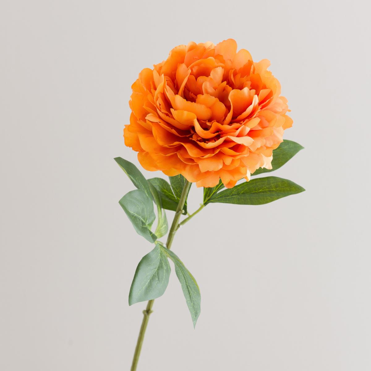 Orange Peony Stem – image 4
