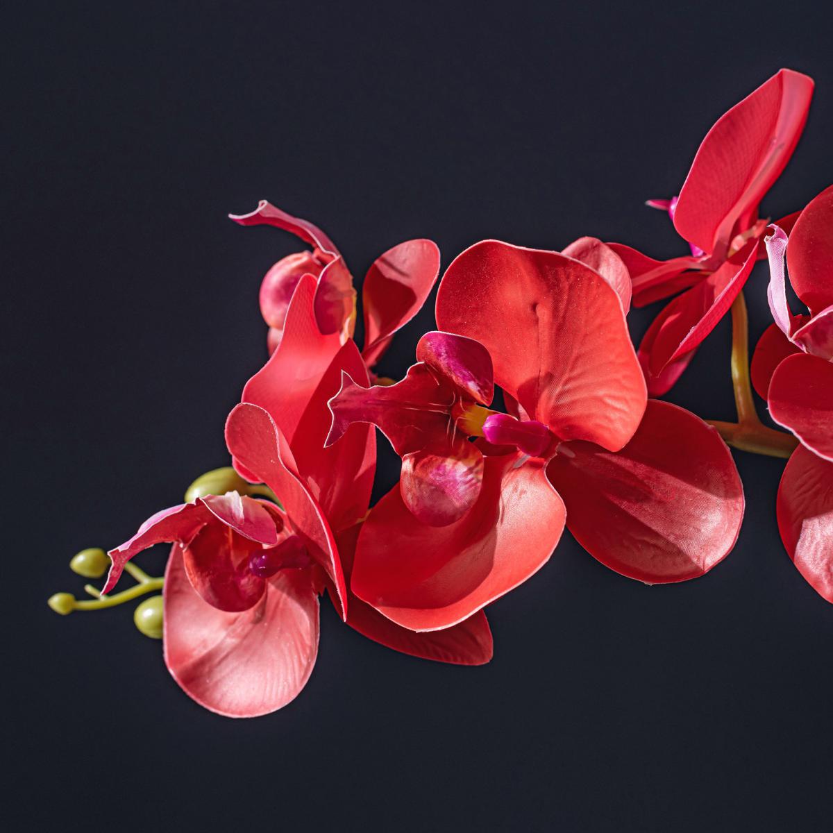 Real Touch Red Orchid in Ceramic Pot Red – image 2