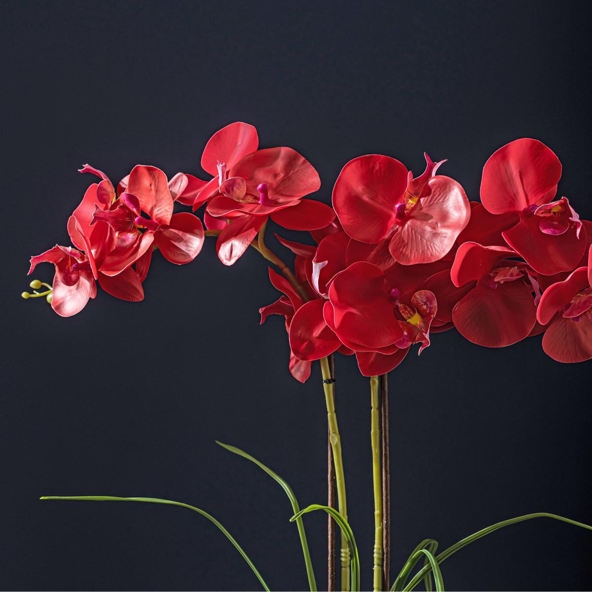 Real Touch Red Orchid in Ceramic Pot Red – image 3