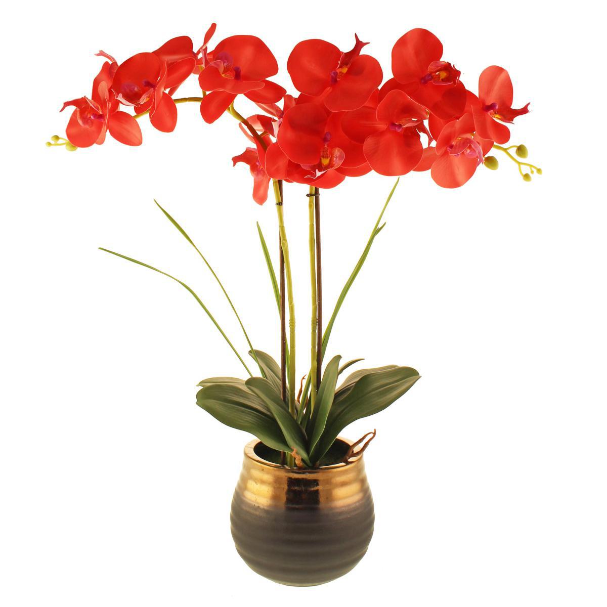 Real Touch Red Orchid in Ceramic Pot Red – image 6