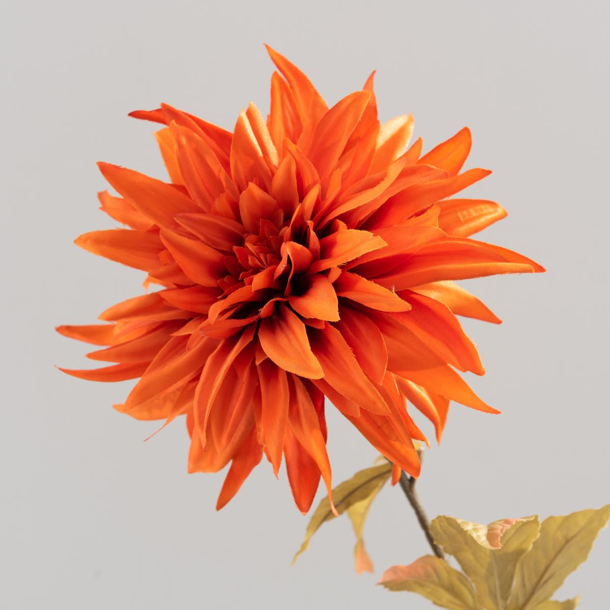 Dahlia Orange Stem 80cm Orange – image 3