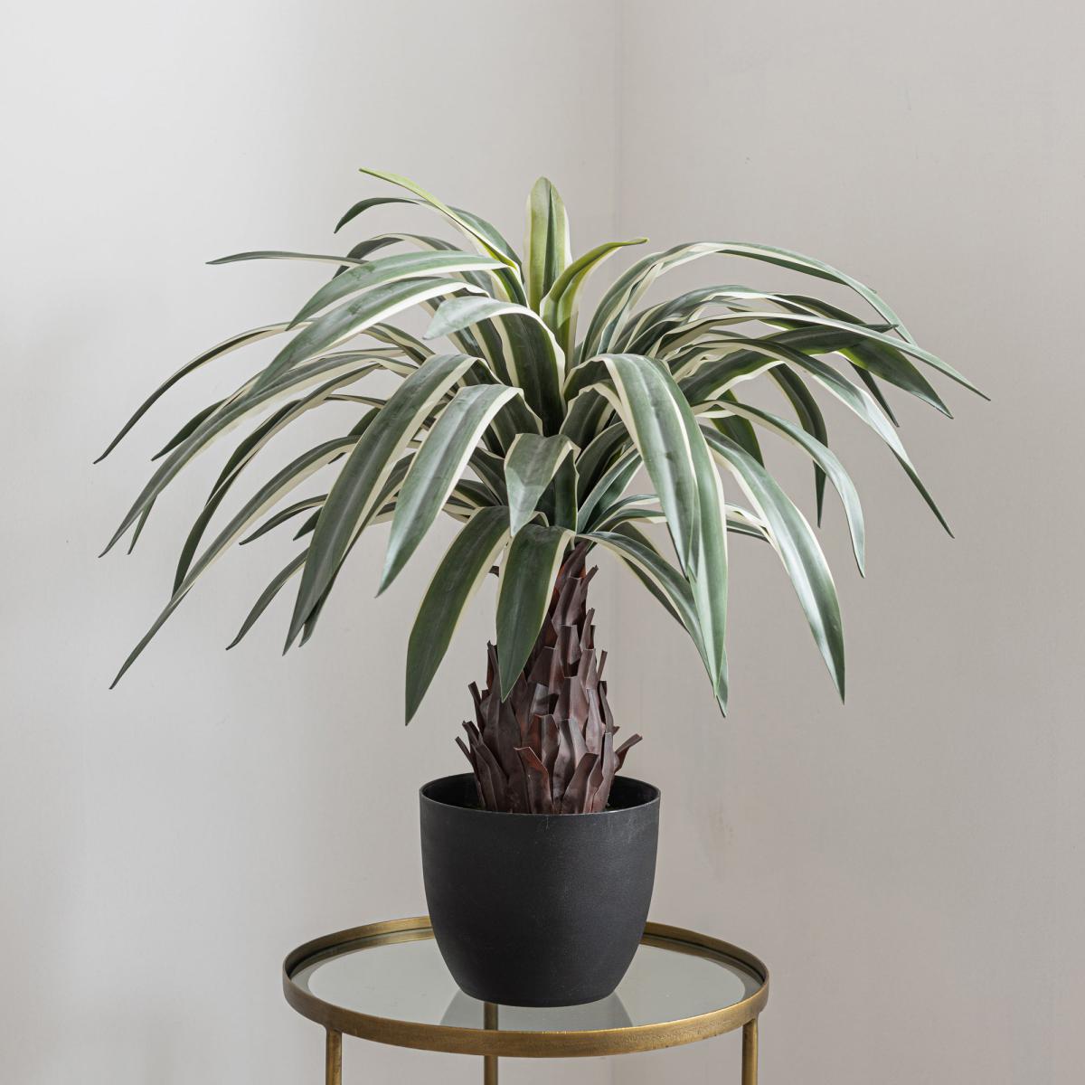 Dracaena Plant 80cm Green Green – image 2