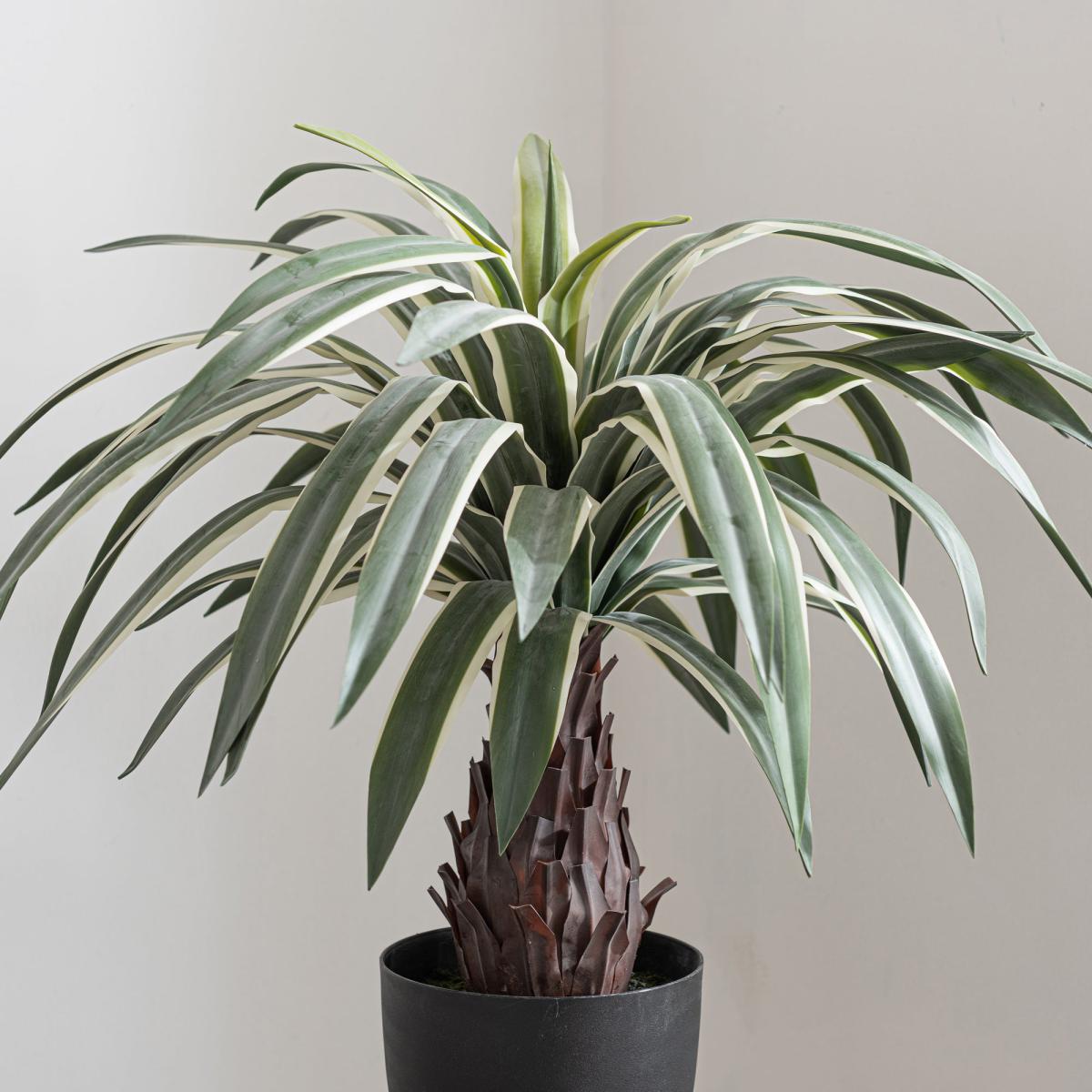 Dracaena Plant 80cm Green Green – image 3