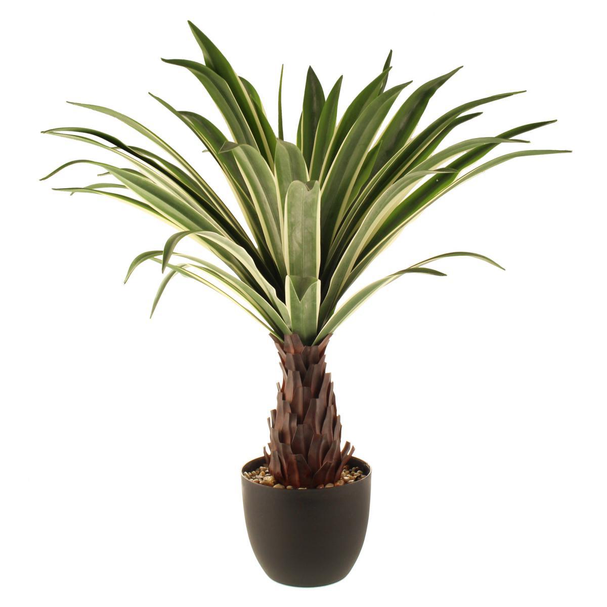 Dracaena Plant 80cm Green Green – image 4