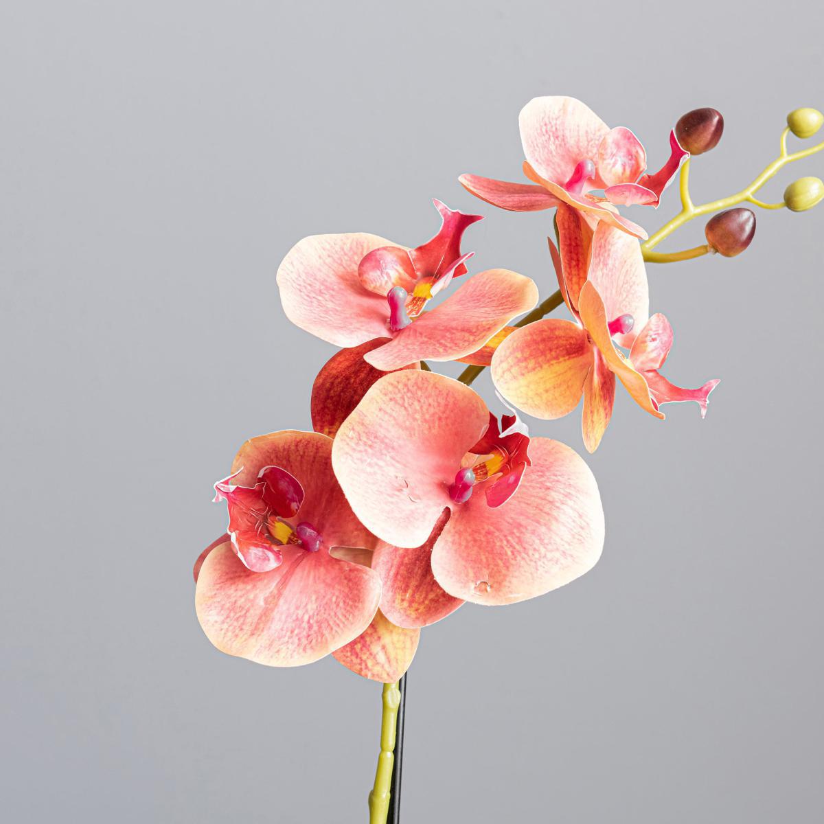 Pink Orchid in Ceramic Pot 50cm Pink – image 2