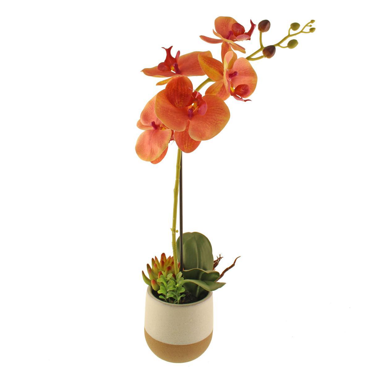 Pink Orchid in Ceramic Pot 50cm Pink – image 5
