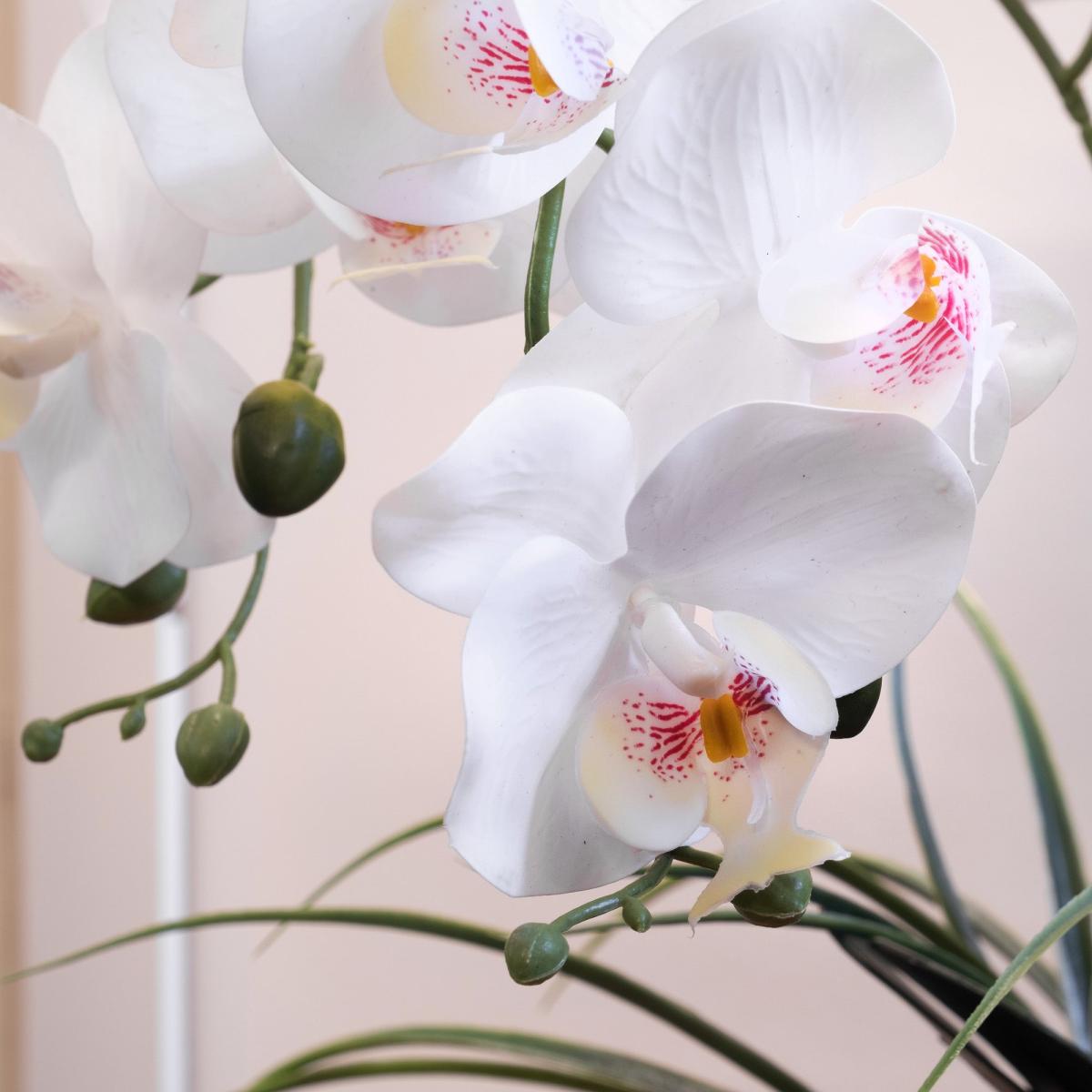 Artificial White Orchid in Glass Plant Pot White – image 2
