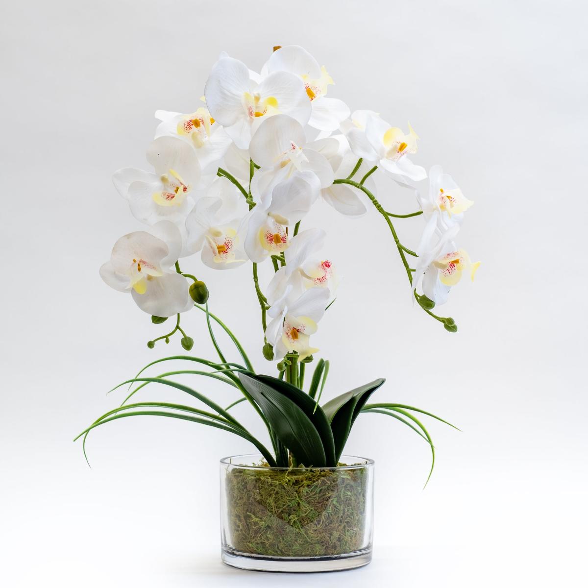 Artificial White Orchid in Glass Plant Pot White – image 3
