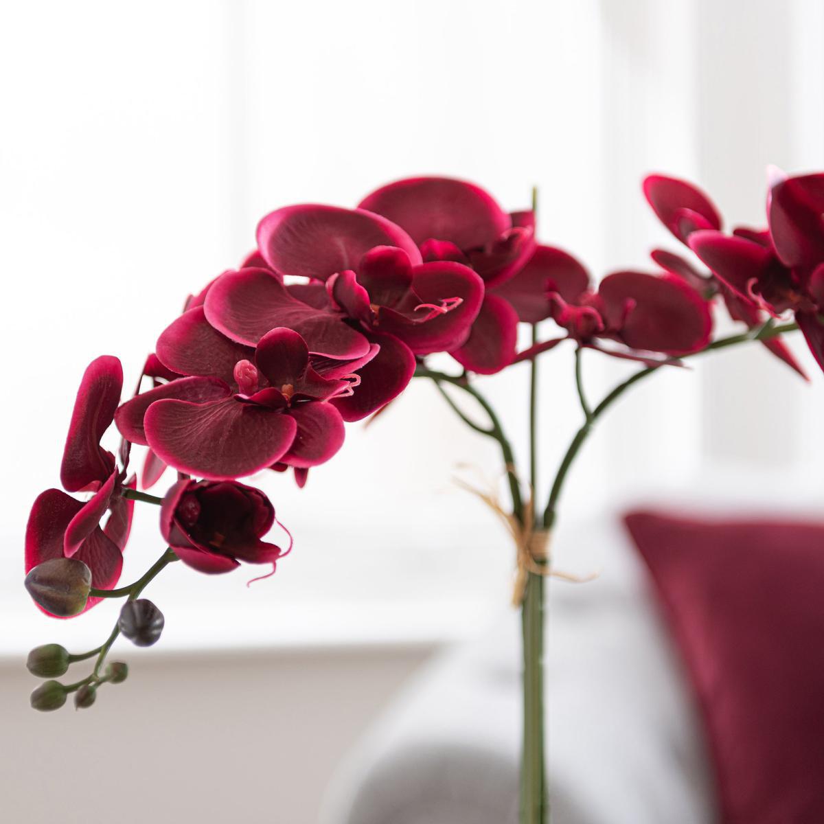 Dorma Artificial Orchid in Vase 57cm Pink – image 2