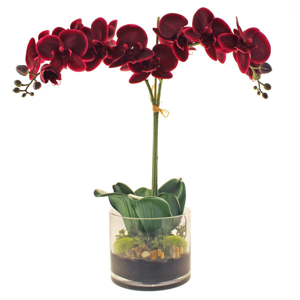 Dorma Artificial Orchid in Vase 57cm Pink – image 4