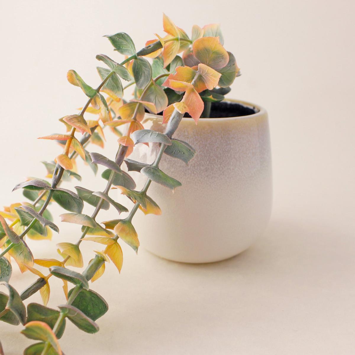 Trailing Eucalyptus in Reactive Glaze Pot Pink – image 2
