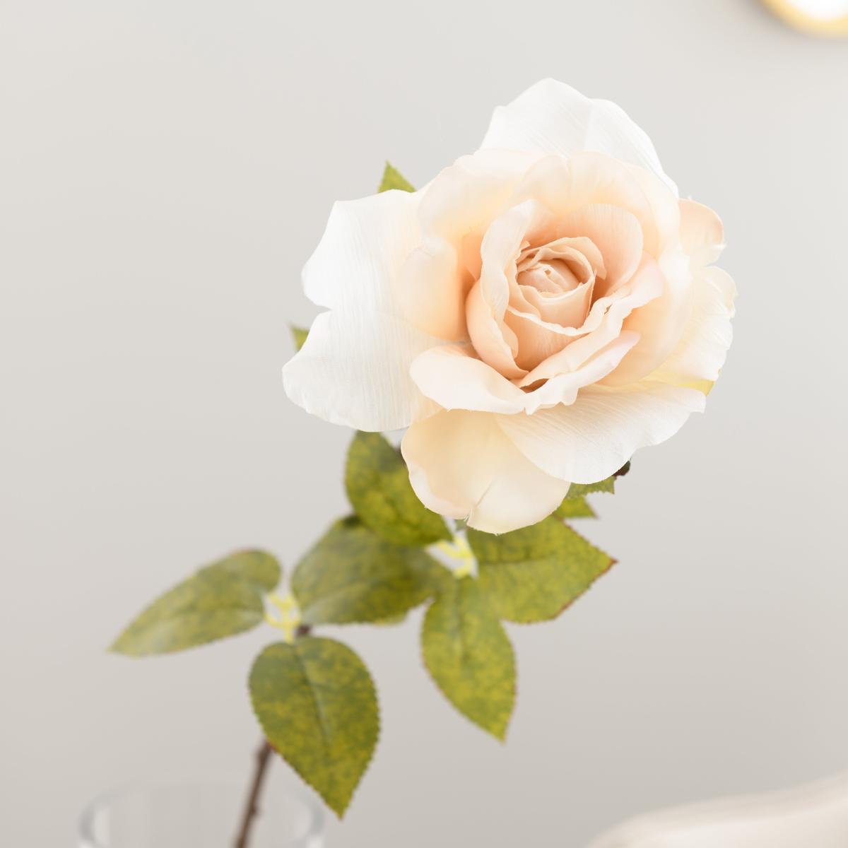 Rose Cream Stem 80cm Cream – image 2