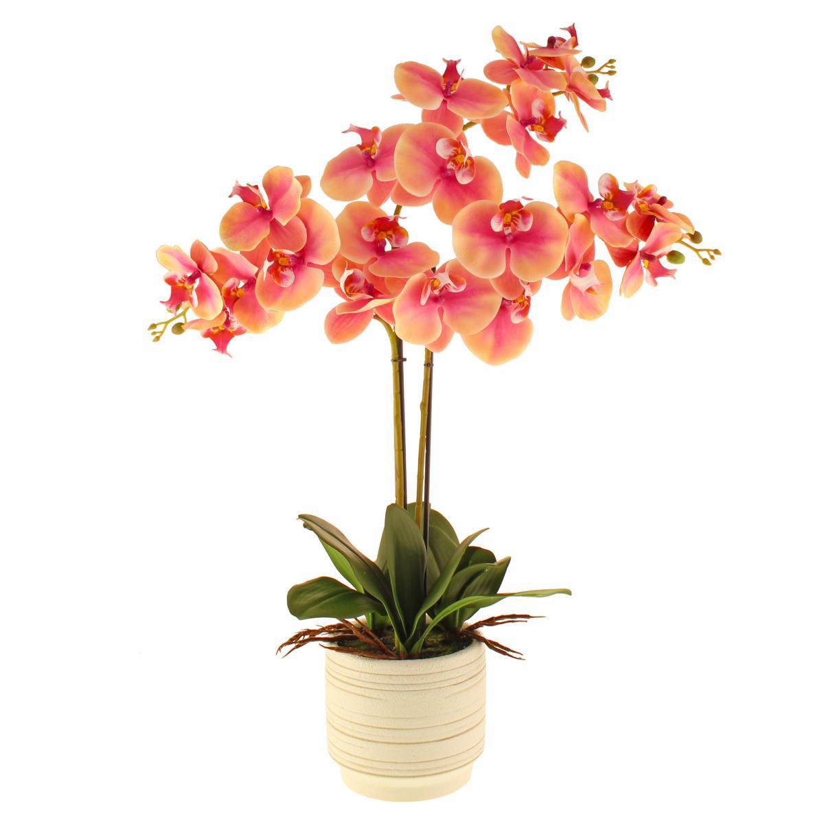 Triple Pink Orchid in Ceramic Pot Pink – image 4