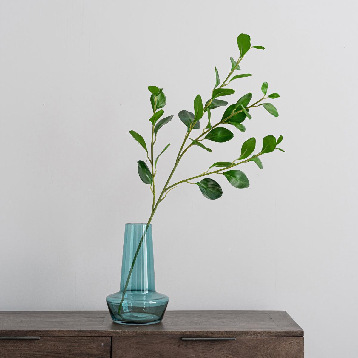Green Peperomia Spray Green – image 3