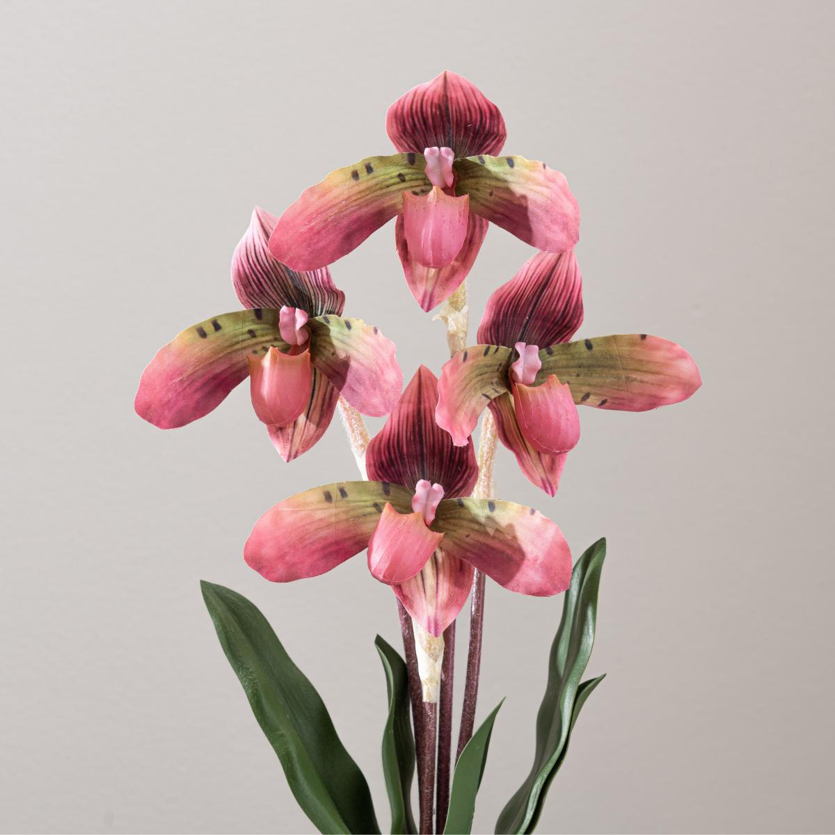 Real Touch Slipper Orchid 45cm Brown – image 2