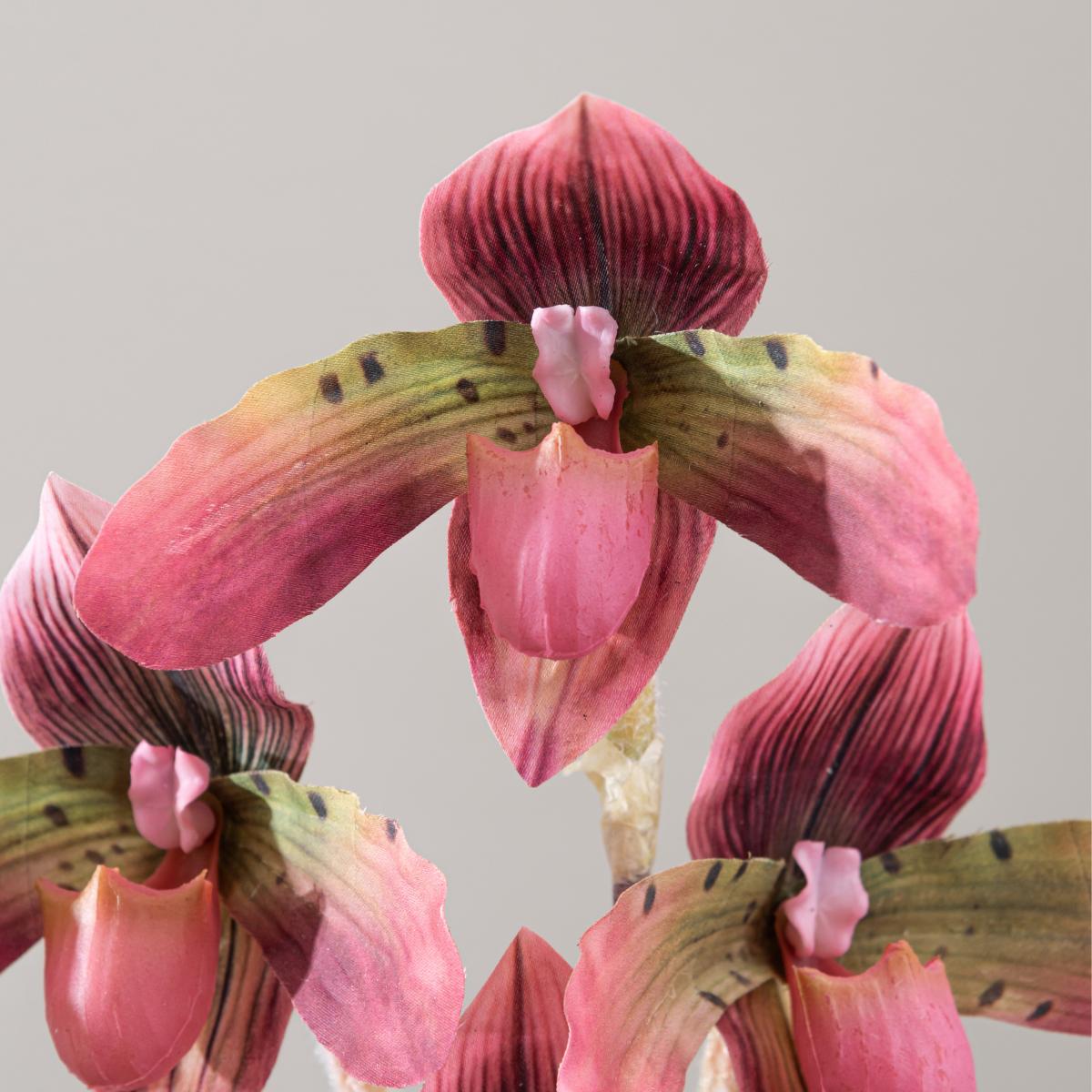 Real Touch Slipper Orchid 45cm Brown – image 4