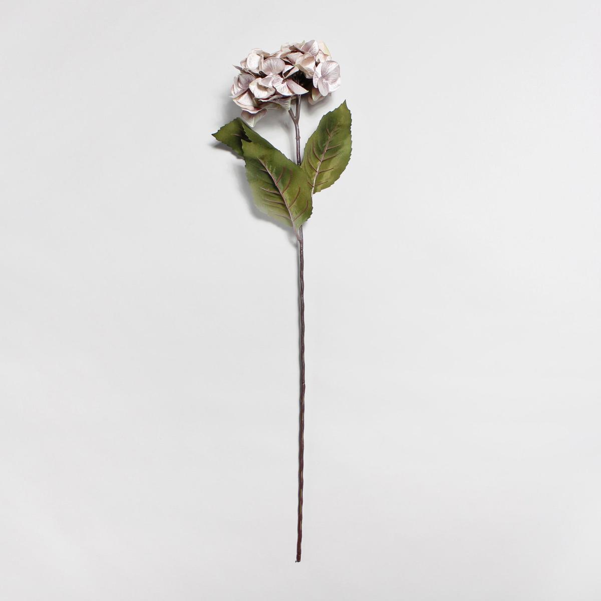 Pack of 12 Artificial Hydrangea Champagne Stem 75cm Champagne – image 3