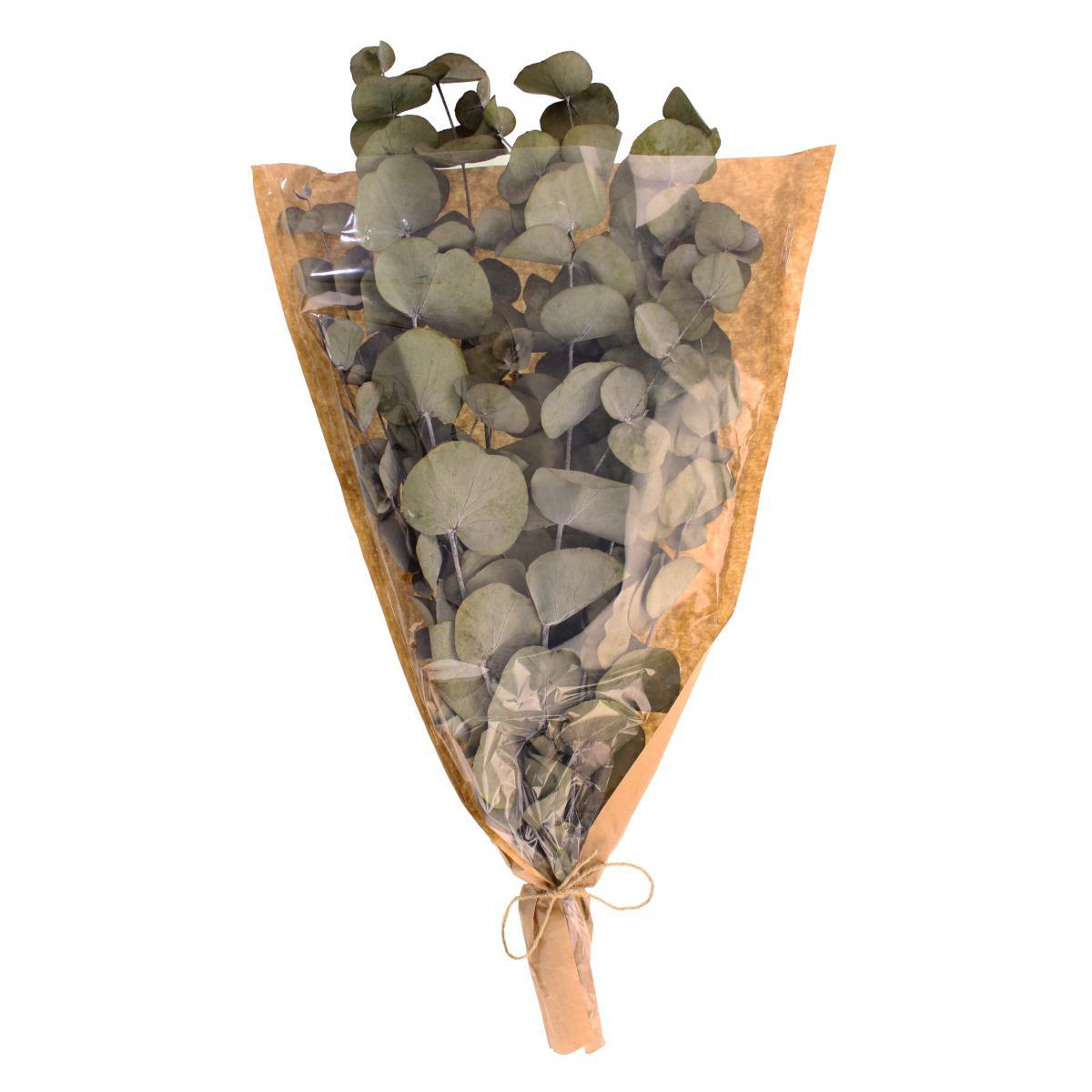 Preserved Eucalyptus Syneria Bundle Green – image 5