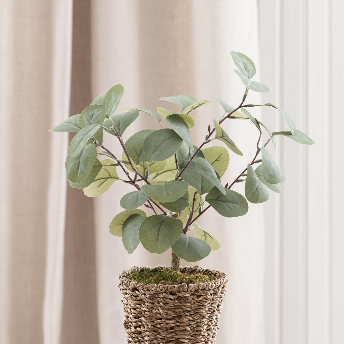 Tabletop Eucalyptus Tree in Basket Green – image 2