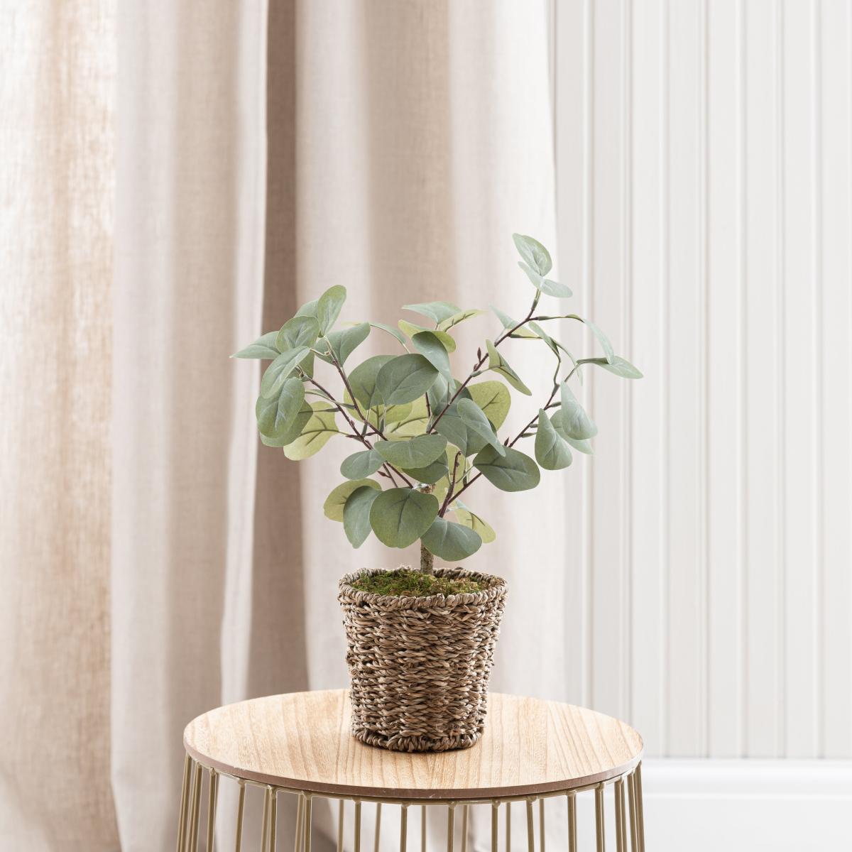 Tabletop Eucalyptus Tree in Basket Green – image 3