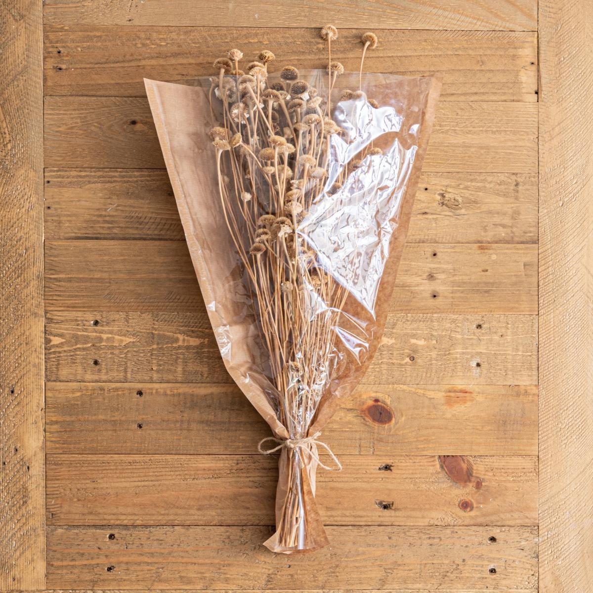 Dried Natural Wild Daisy Bundle Natural – image 2