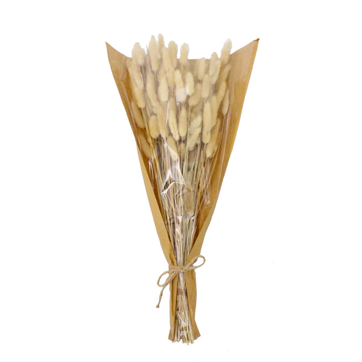 Natural Dried Lagurus Bundle 80g Natural – image 3