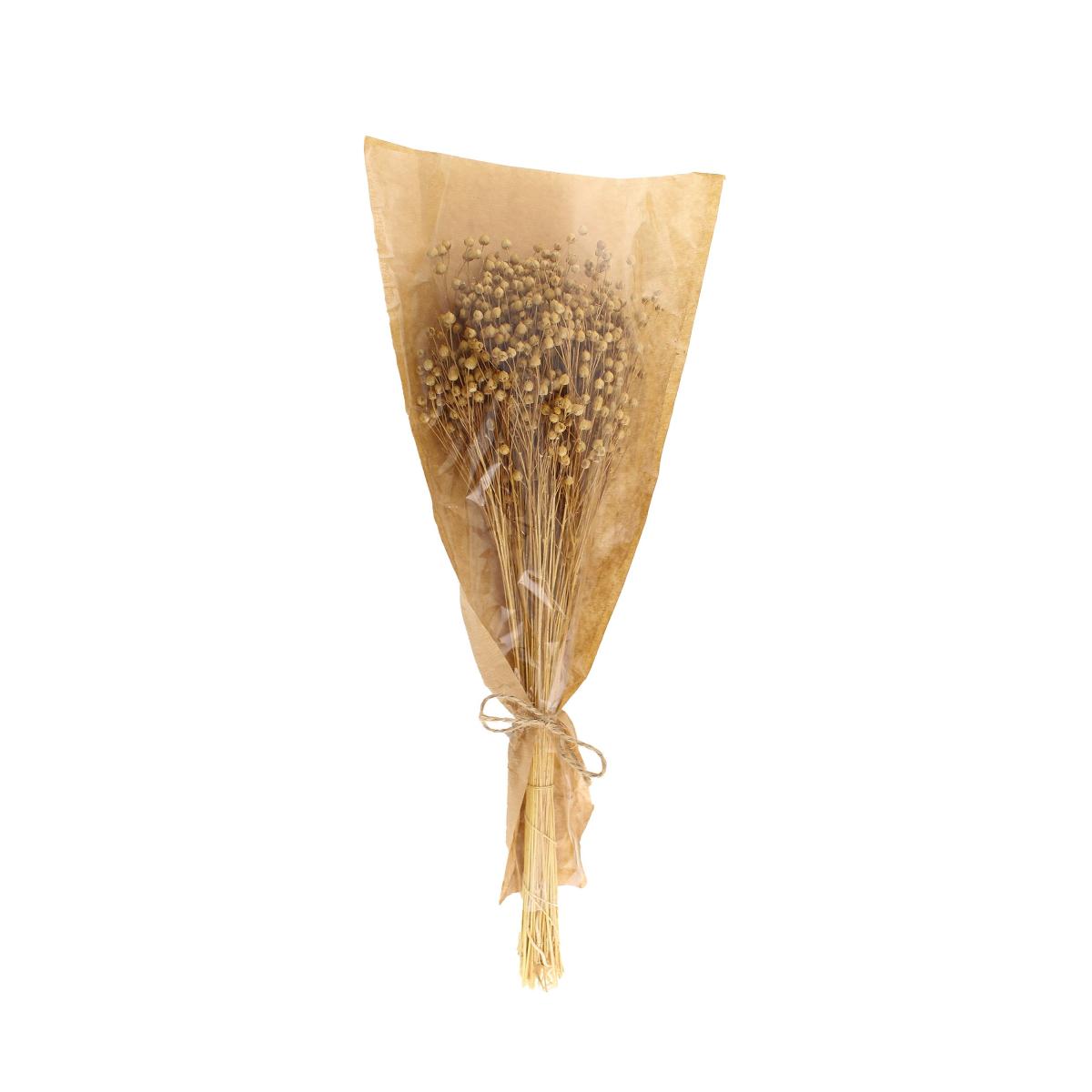 Natural Dried Linum Bundle Undyed Natural – image 4