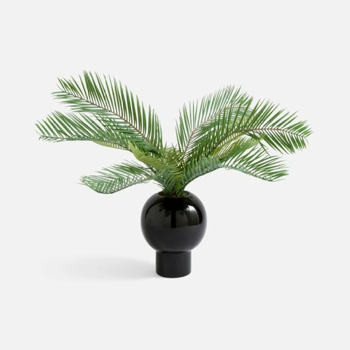 Artificial Bread Palm Plant in Glossy Black Vase – image 3